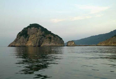 Sớm thành lập Khu Bảo tồn biển Hòn Mê ảnh 1